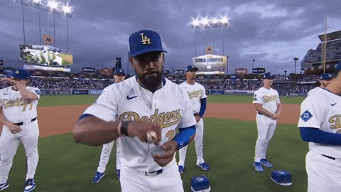 Los Angeles Dodgers Sport GIF by MLB