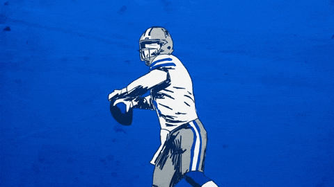 Dallas Cowboys Football GIF
