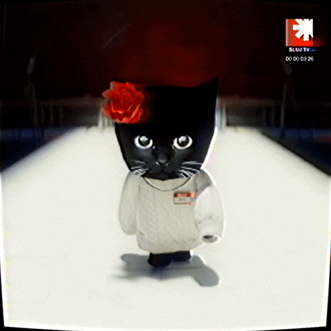 Bro Gif GIF