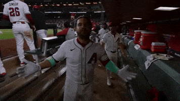 Yelling Arizona Diamondbacks GIF by MLB