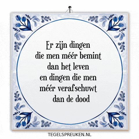 Troost Reflectie GIF by Tegelspreuken.nl