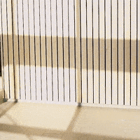 Husson University Baldwin GIF by HussonU