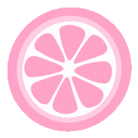 SomethingSoSam pink fruit grapefruit somethingsosam Sticker