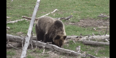 Education Biology GIF by DIIMSA Stock