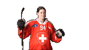 Celebrate National Team Sticker by Swiss Ice Hockey