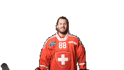 Celebrate National Team Sticker by Swiss Ice Hockey