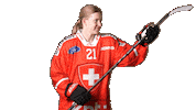 Celebrate National Team Sticker by Swiss Ice Hockey