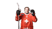 Celebrate National Team Sticker by Swiss Ice Hockey