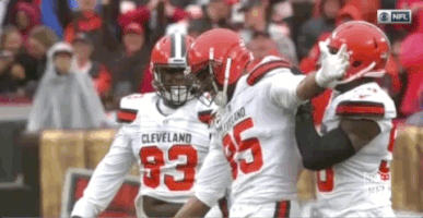 cleveland browns football GIF