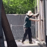 Vulture GIF by Respective