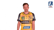 Handball-Bundesliga Fun GIF by LIQUI MOLY HBL