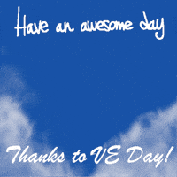 Lest We Forget Victory GIF by TeaCosyFolk