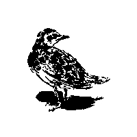 thedoorkarlsruhe thedoor thedoorkarlsruhe thedoorcocktailbar thedoorvogel Sticker