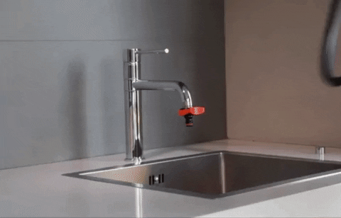 fedegra giphygifmaker GIF