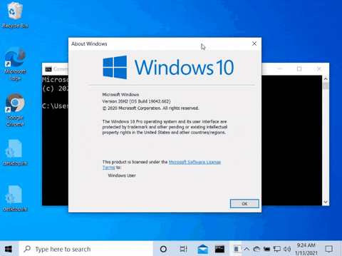 gabriela2400 giphyupload GIF