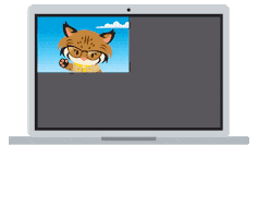 Work From Home Cat Sticker by AppExchange
