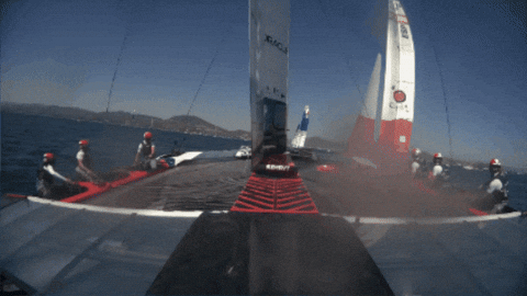 Racing Crash GIF by SailGP
