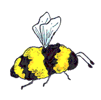 Animation Wings Sticker