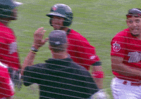 tincaps baseball milb fort wayne tincaps GIF