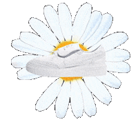 Shoes Nike Sticker