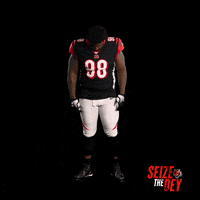Cincinnati Bengals Football GIF by Bengals