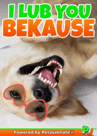 PetJuvenate  GIF