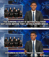 The Daily Show What GIF by The Daily Show with Trevor Noah