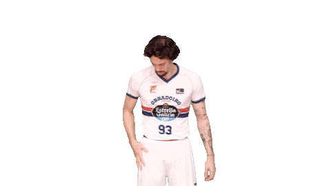 Liga Endesa Basketball Sticker by ACB