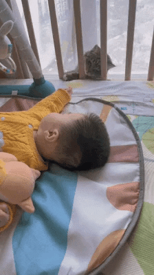 cuteanimalland giphyupload GIF