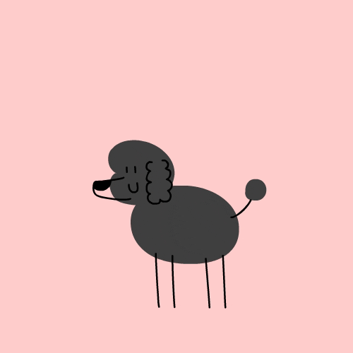 Illustrated gif. Gray poodle on a pale pink background smiles, wags its tail, and blows a kiss. A pink heart flies towards us and pops.