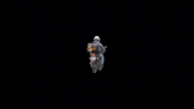 spindelivery spin delivery comida moto GIF