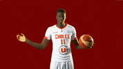 choletbasket sport basketball basket cb GIF