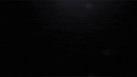 Mad Brothers GIF
