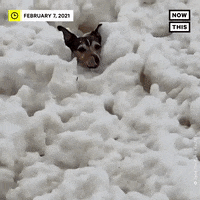 Foam-gif GIFs - Get the best GIF on GIPHY