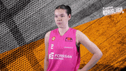 Sport Basketball GIF by Basket_fi