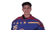 Ice Hockey Netflix Sticker by Zero Chill