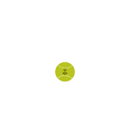 Sport Ball Sticker by Special Olympics Belgium