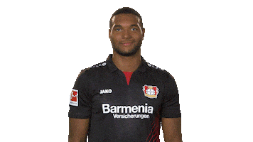 bayer leverkusen wink Sticker by Bundesliga