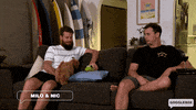 Dog Jump GIF by Gogglebox Australia
