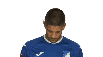 Croatia Hoffenheim Sticker by Bundesliga
