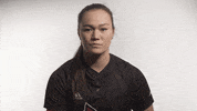 University Of Louisville Softball GIF by Louisville Cardinals