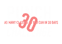 Sticker by Pittsburgh Punch