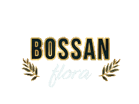 Ashgabat Sticker by Bossan concept