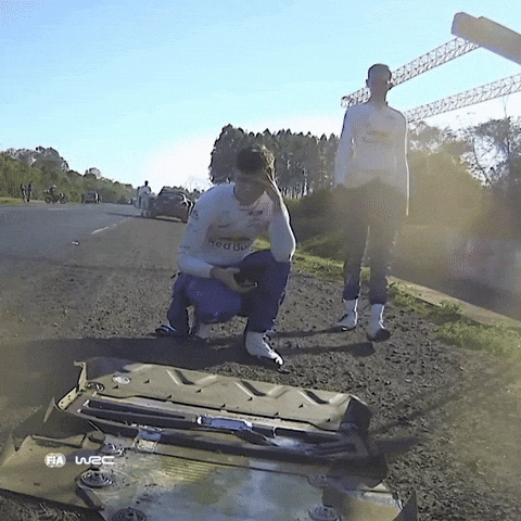 Racing Rallying GIF by FIA World Rally Championship