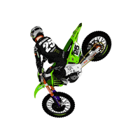 damondhanis cd25 clementdesalle Sticker