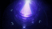 Neon Bitcoin GIF by Sam Jack Gilmore