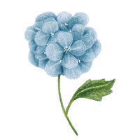 Flower Sticker