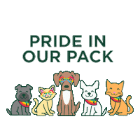Dog Pack Sticker by Healthy Spot