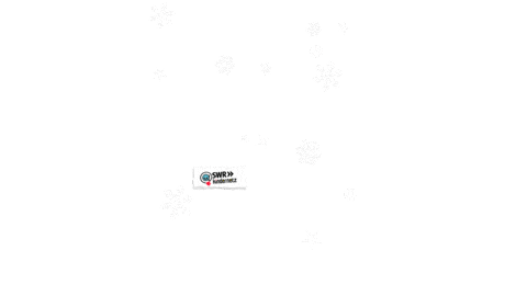 snow winter Sticker by SWR Kindernetz