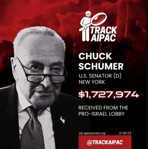 Chuck Schumer Israel GIF by Respective